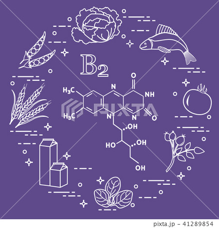 Foods rich in vitamin B2 Fish, peas and other. 41289854