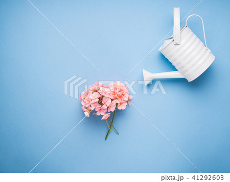 Minimal flat lay with watering concept 41292603