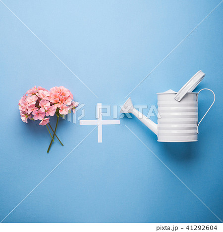 Minimal flat lay with watering concept 41292604