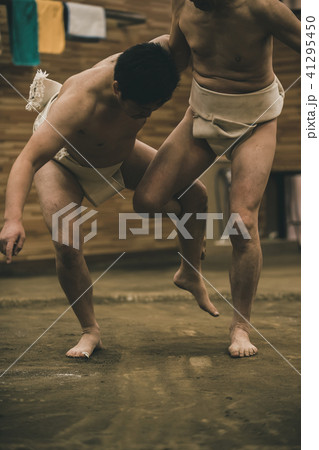 Sumo wrestling Sumo wrestling 41295450