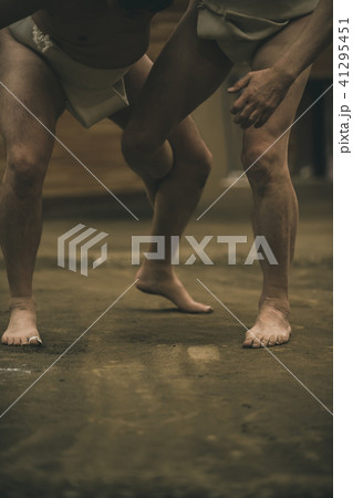 Sumo wrestling 41295451