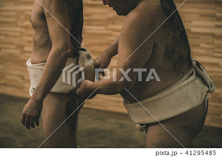 Sumo wrestling 41295485