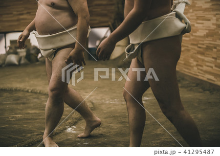 Sumo wrestling 41295487