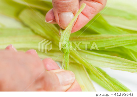 Colombian Sweet Corn Wrap Preparation Colombian Sweet Corn Wrap Preparation 41295643