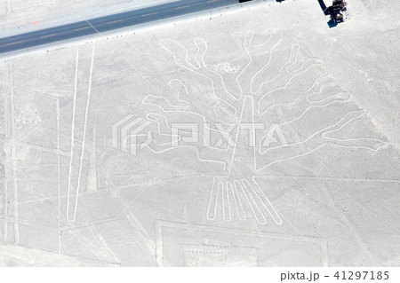 Nazca lines from the aircraft 41297185