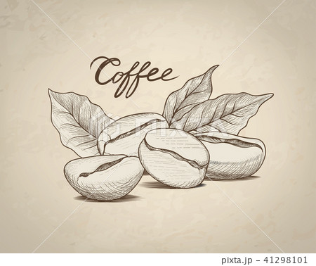 Coffee bean, leaves, lettering Drink coffee banner Coffee bean, leaves, lettering Drink coffee banner 41298101