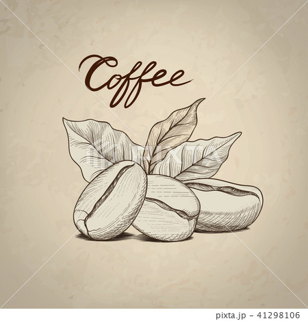 Coffee beans leaves, lettering Drink coffee banner 41298106