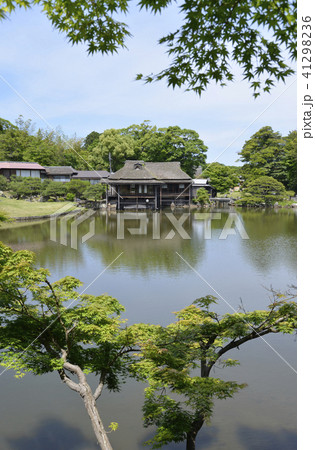 彦根城 玄宮園 彦根城 玄宮園 41298236