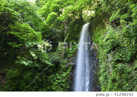 養老の滝（岐阜県養老郡） 41298292
