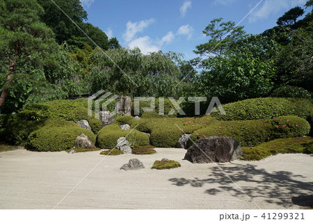 鎌倉　明月院　アジサイ　Kamakura city  Meigetsu-in temple 41299321