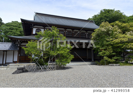 清涼寺 清涼寺 41299358