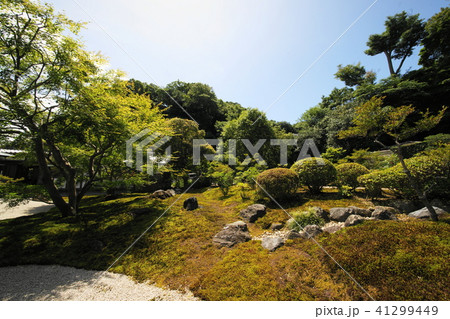 鎌倉市　長寿寺　Kamakura city  Tyoujyuji temple 41299449