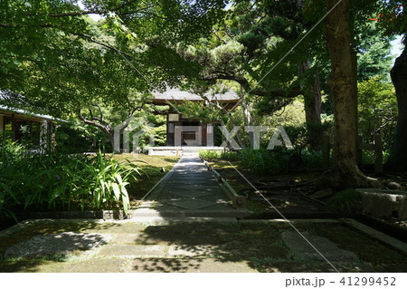 鎌倉市 長寿寺 Kamakura city Tyoujyuji temple 鎌倉市 長寿寺 Kamakura city Tyoujyuji temple 41299452