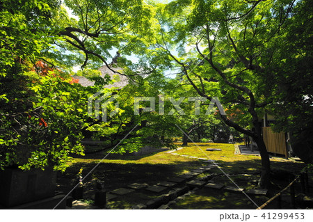 鎌倉市 長寿寺 Kamakura city Tyoujyuji temple 鎌倉市 長寿寺 Kamakura city Tyoujyuji temple 41299453