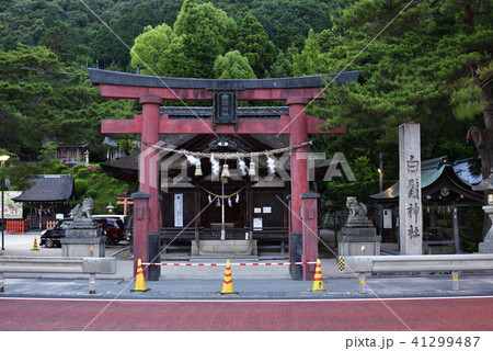 白鬚神社　鳥居（滋賀県高島市） 41299487