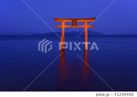 白鬚神社　湖中鳥居　夜景　ライトアップ（滋賀県高島市） 41299490