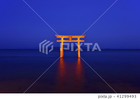 白鬚神社　湖中鳥居　夜景　ライトアップ（滋賀県高島市） 41299493