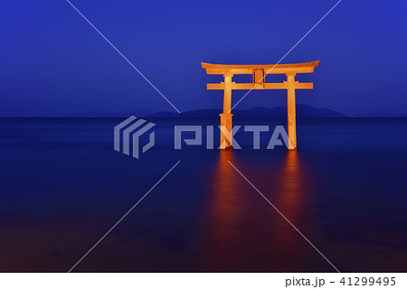 白鬚神社　湖中鳥居　夜景　ライトアップ（滋賀県高島市） 41299495