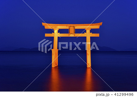 白鬚神社 湖中鳥居 夜景 ライトアップ(滋賀県高島市) 白鬚神社 湖中鳥居 夜景 ライトアップ(滋賀県高島市) 41299496