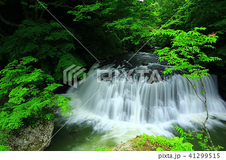 新緑の葛丸渓流 一の滝 新緑の葛丸渓流 一の滝 41299515