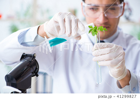 Male biochemist working in the lab on plants Male biochemist working in the lab on plants 41299827