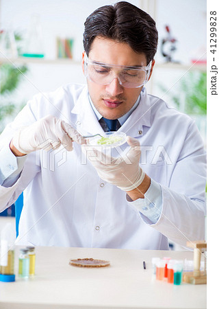 Male biochemist working in the lab on plants Male biochemist working in the lab on plants 41299828