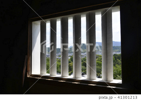 彦根城天守閣から佐和山を望む 彦根城天守閣から佐和山を望む 41301213