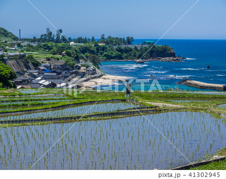 丹後半島にある日本の棚田100選の一つ、袖志の棚田 41302945