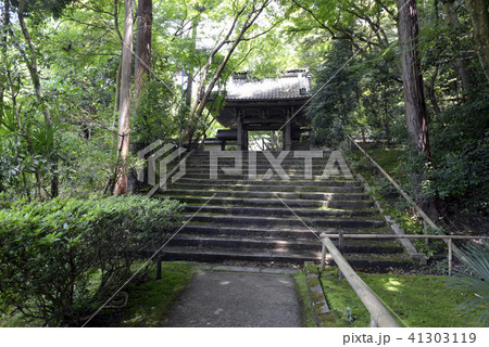 龍潭寺　山門 41303119