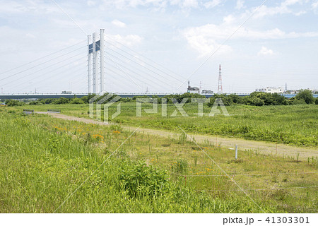 多摩川にかかる是政橋（東京都府中市・稲城市） 41303301