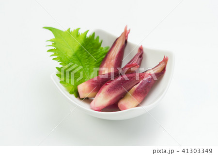 みょうが梅酢漬けの皿盛り 41303349