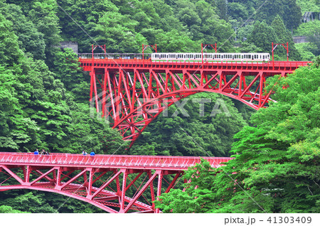 新緑の黒部トロッコ列車 41303409