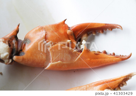 broken boiled stone Crab gourmet restaurant Chelip 41303429