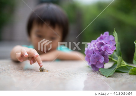 カタツムリと紫陽花 カタツムリと紫陽花 41303634