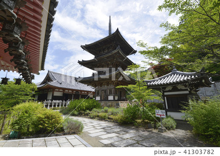 壺阪寺　三重塔 41303782