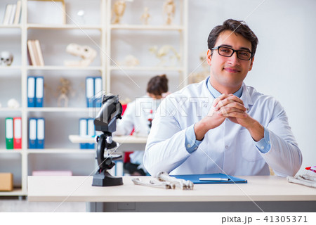 Professor studying human skeleton in lab 41305371