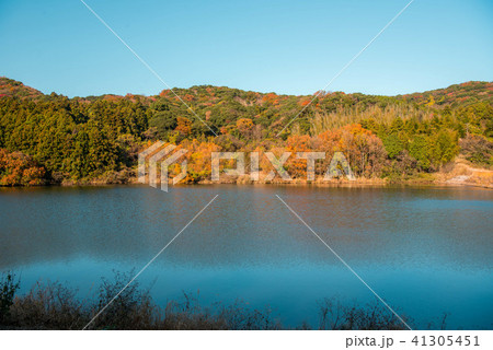 紅葉　青空　湖　植松池 41305451