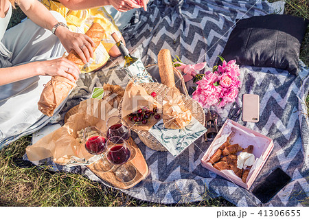 Picnic Lunch Meal Outdoors Park Food Concept 41306655