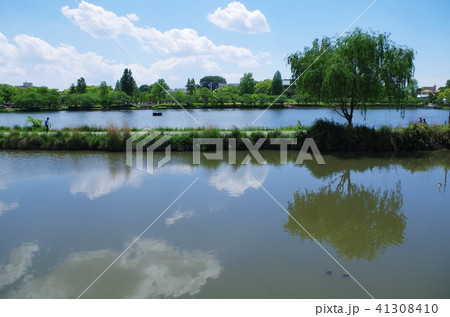 川と池と木々 川と池と木々 41308410