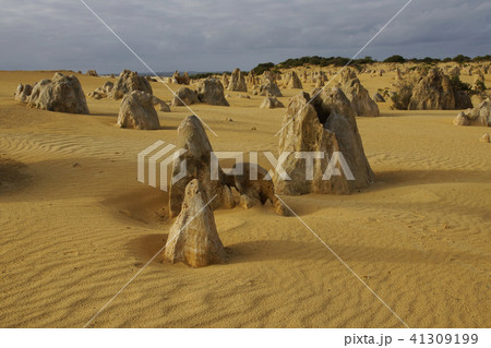 ピナクルズ 41309199