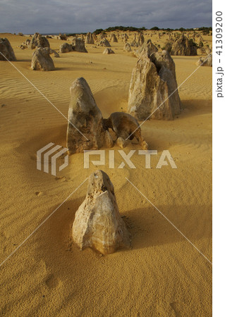 ピナクルズ 41309200