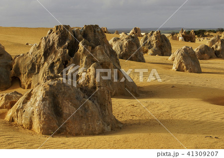 ピナクルズ 41309207