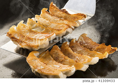 ギョーザ 41309433