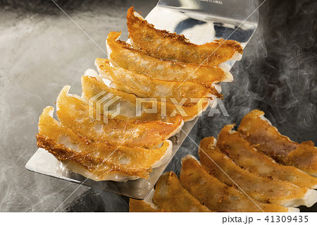 ギョーザ 41309435