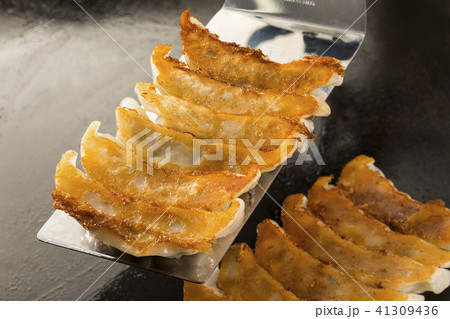 ギョーザ 41309436