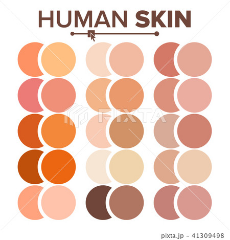 Skin Human Vector. Various Body Tones Chart. Realistic Texture Palette. Illustration Skin Human Vector. Various Body Tones Chart. Realistic Texture Palette. Illustration 41309498