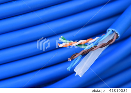 Close-up of blue network computer utp cable 41310085