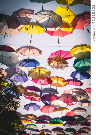 傘のある風景 41310202