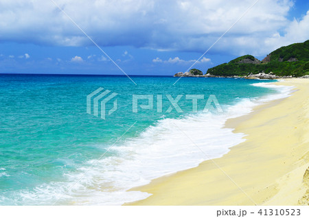 屋久島 永田いなか浜 屋久島 永田いなか浜 41310523