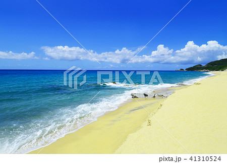 屋久島　永田いなか浜 41310524